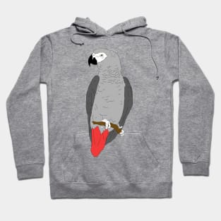 African Grey Parrot on Perch Hoodie